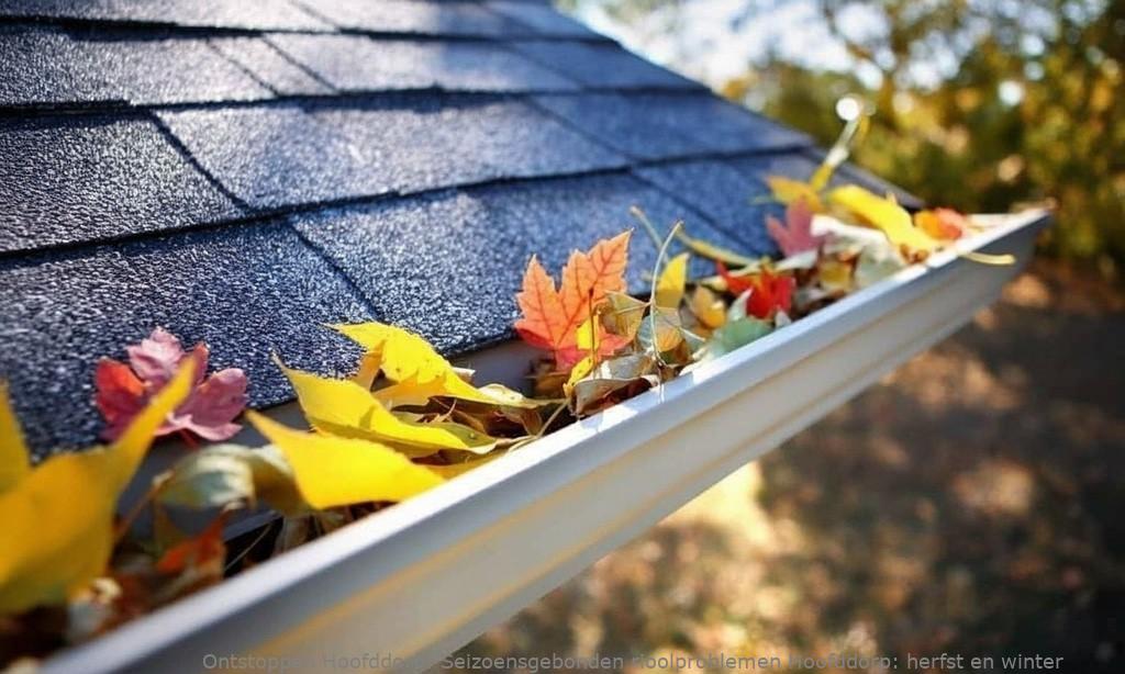 Seizoensgebonden rioolproblemen Hoofddorp: herfst en winter