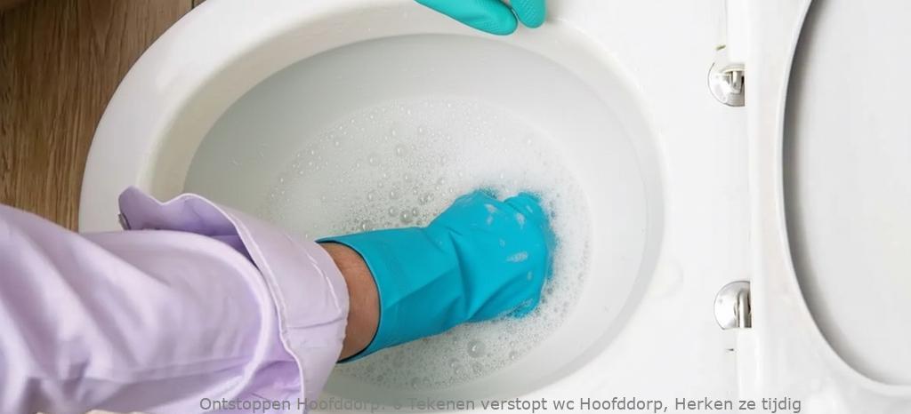 6 Tekenen verstopt wc Hoofddorp, Herken ze tijdig